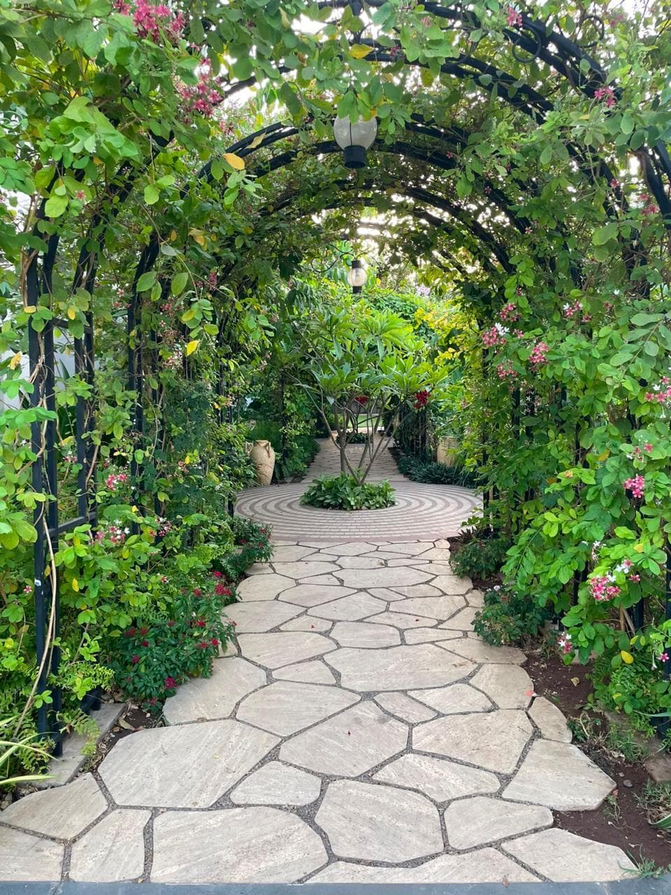 A stone path under a planted pergola